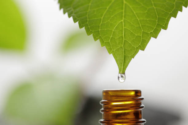 Discover the Benefits of Herbal Oil for Norwegians