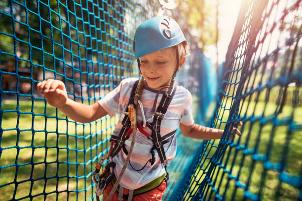 Litokin Where Safety and Popularity Collide in Korea’s Best Playground